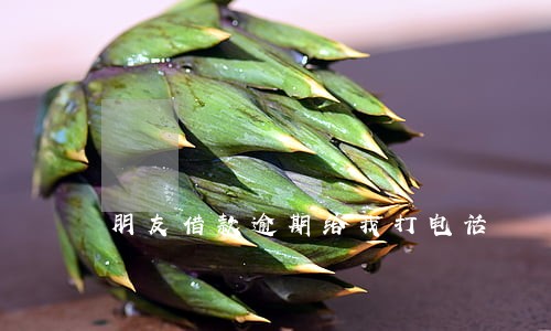朋友借款逾期给我打电话 朋友借款逾期给我打电话