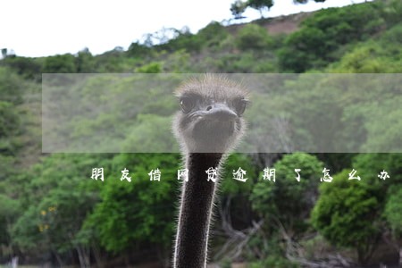 朋友借网贷逾期了怎么办 朋友借网贷逾期了怎么办