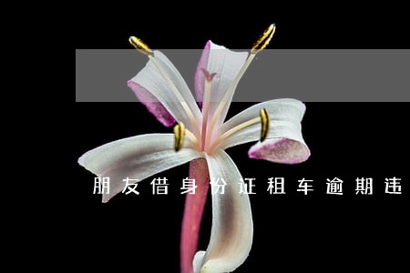 朋友借身份证租车逾期违约金 朋友借身份证租车逾期违约金