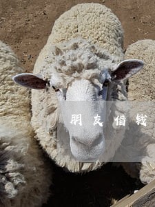 朋友借钱不还害我信用卡逾期 朋友借钱不还害我信用卡逾期