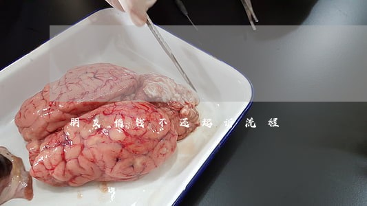 朋友借钱不还起诉流程 朋友借钱不还起诉流程