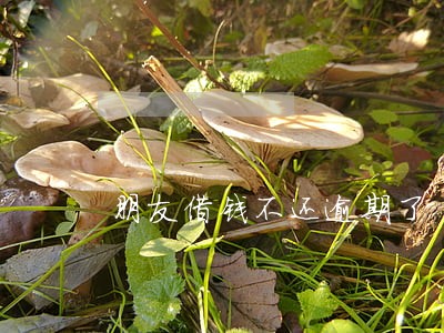 朋友借钱不还逾期了 朋友借钱不还逾期了