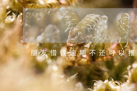 朋友借钱逾期不还可以报警吗 朋友借钱逾期不还可以报警吗