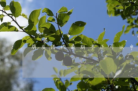 朋友借钱逾期不还可以申诉吗 朋友借钱逾期不还可以申诉吗