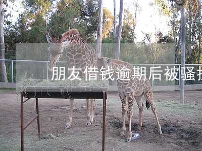 朋友借钱逾期后被骚扰 朋友借钱逾期后被骚扰