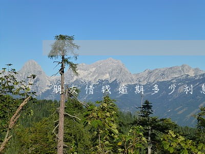 朋友借钱逾期多少利息合适