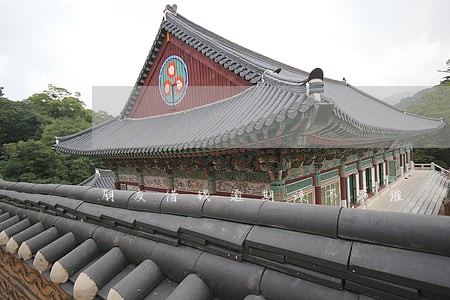 朋友借钱逾期该不该催