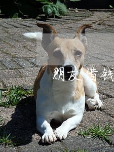 朋友借钱逾期银行打电话给我 朋友借钱逾期银行打电话给我