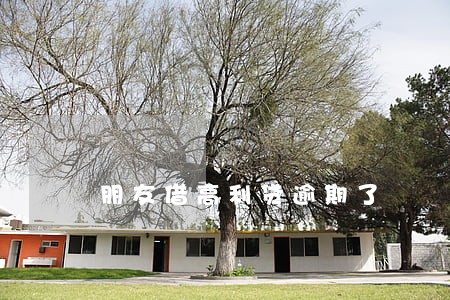 朋友借高利贷逾期了 朋友借高利贷逾期了
