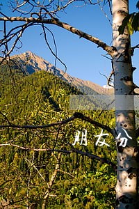 朋友分期乐逾期 朋友分期乐逾期
