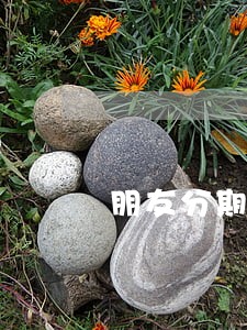 朋友分期逾期怎么消除征信