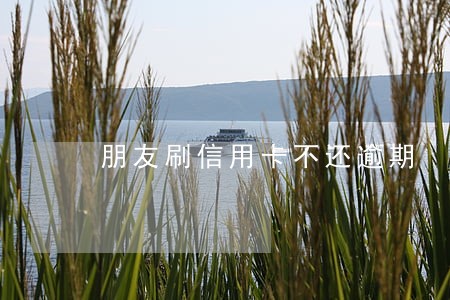 朋友刷信用卡不还逾期