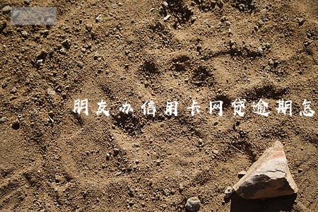 朋友办信用卡网贷逾期怎么办 朋友办信用卡网贷逾期怎么办