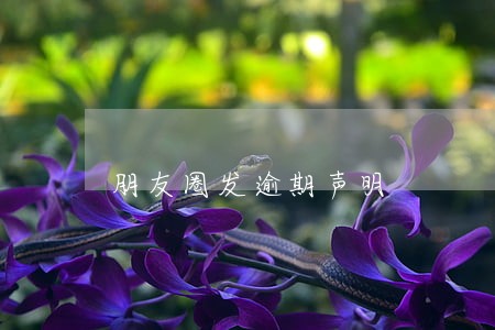 朋友圈发逾期声明