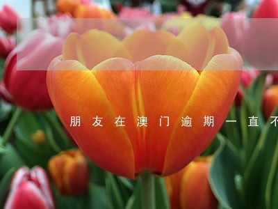 朋友在澳门逾期一直不肯回来 朋友在澳门逾期一直不肯回来