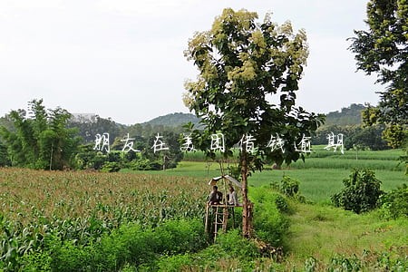 朋友在美团借钱逾期 朋友在美团借钱逾期