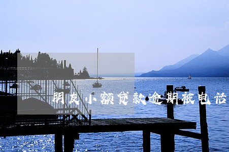 朋友小额贷款逾期被电话骚扰 朋友小额贷款逾期被电话骚扰