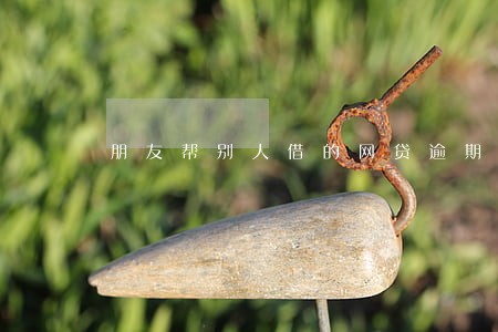 朋友帮别人借的网贷逾期怎么办 朋友帮别人借的网贷逾期怎么办