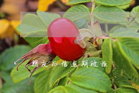 朋友征信逾期被拒 朋友征信逾期被拒