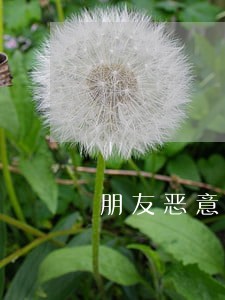 朋友恶意逾期会影响我贷款吗 朋友恶意逾期会影响我贷款吗