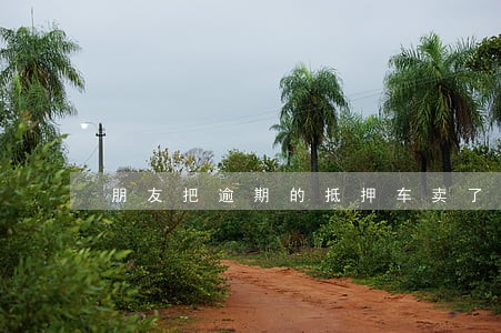 朋友把逾期的抵押车卖了 朋友把逾期的抵押车卖了