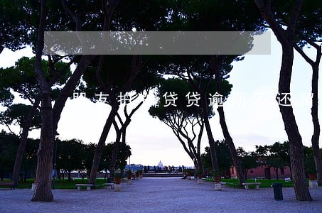 朋友拍拍贷贷逾期不还留我电话