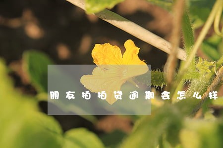 朋友拍拍贷逾期会怎么样 朋友拍拍贷逾期会怎么样