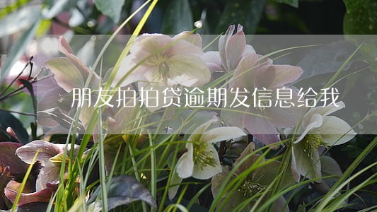 朋友拍拍贷逾期发信息给我 朋友拍拍贷逾期发信息给我