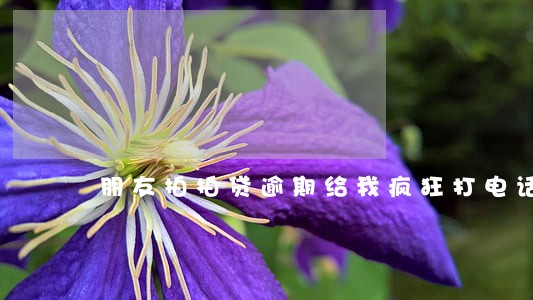 朋友拍拍贷逾期给我疯狂打电话 朋友拍拍贷逾期给我疯狂打电话