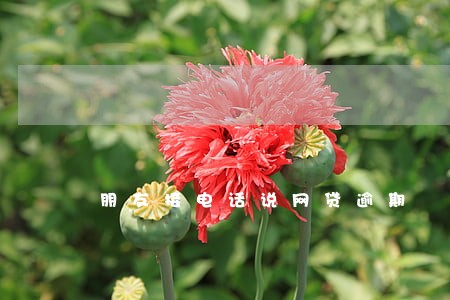 朋友接电话说网贷逾期 朋友接电话说网贷逾期