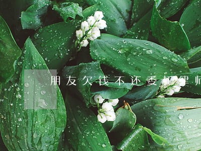 朋友欠钱不还委托律师