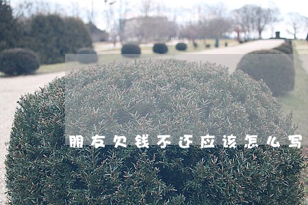 朋友欠钱不还应该怎么写诉讼状 朋友欠钱不还应该怎么写诉讼状