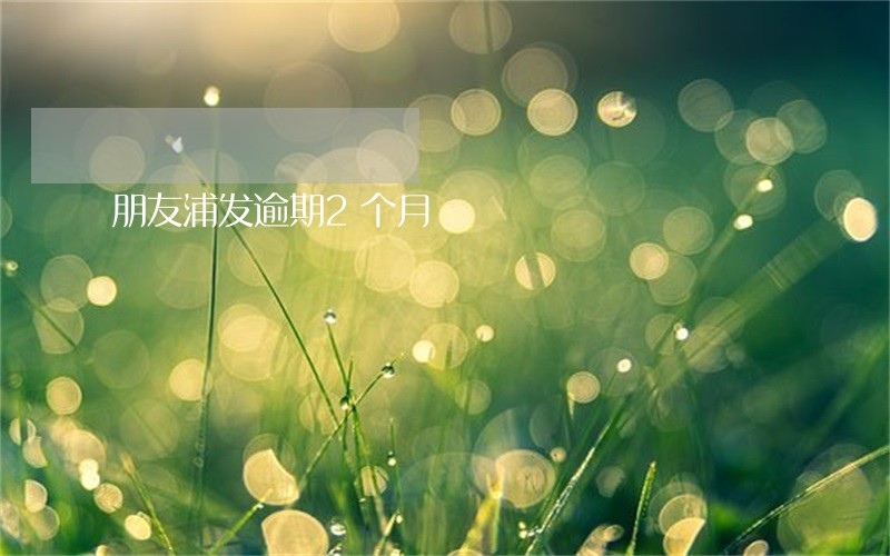 朋友浦发逾期2个月