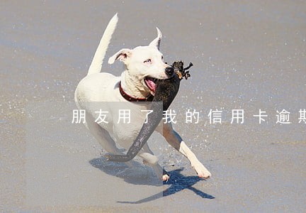 朋友用了我的信用卡逾期怎么办 朋友用了我的信用卡逾期怎么办