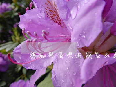 朋友用借呗逾期怎么走法律程序 朋友用借呗逾期怎么走法律程序