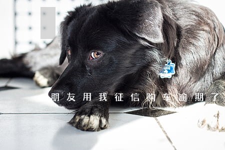 朋友用我征信购车逾期了怎么办
