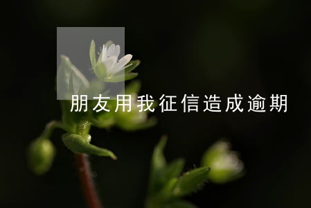 朋友用我征信造成逾期 朋友用我征信造成逾期