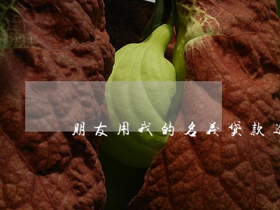 朋友用我的名义贷款逾期了