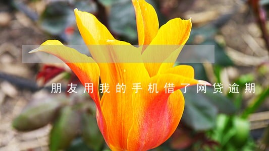 朋友用我的手机借了网贷逾期 朋友用我的手机借了网贷逾期