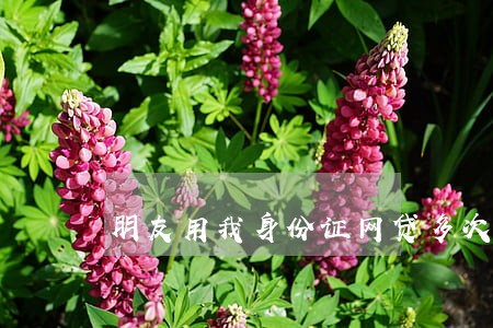 朋友用我身份证网贷多次逾期 朋友用我身份证网贷多次逾期