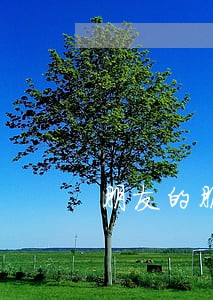 朋友的朋友信用卡逾期短信