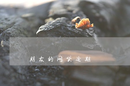 朋友的网贷逾期 朋友的网贷逾期