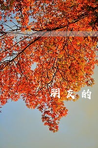 朋友的网贷逾期了 朋友的网贷逾期了