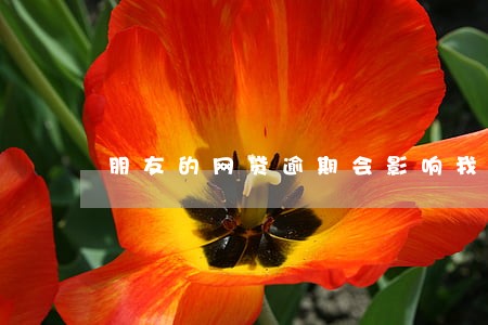 朋友的网贷逾期会影响我吗 朋友的网贷逾期会影响我吗