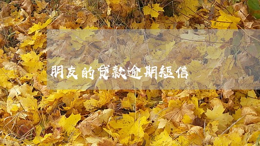 朋友的贷款逾期短信 朋友的贷款逾期短信