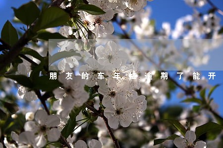 朋友的车年检逾期了能开吗 朋友的车年检逾期了能开吗
