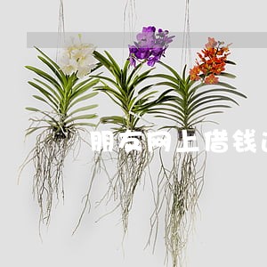 朋友网上借钱逾期紧急联系人 朋友网上借钱逾期紧急联系人