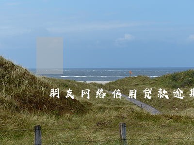 朋友网络信用贷款逾期 朋友网络信用贷款逾期