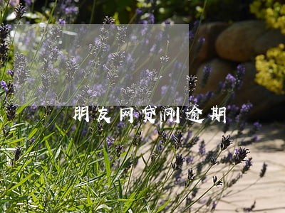 朋友网贷刚逾期