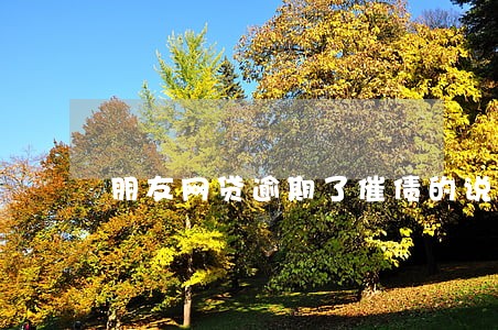 朋友网贷逾期了催债的说我欺诈
